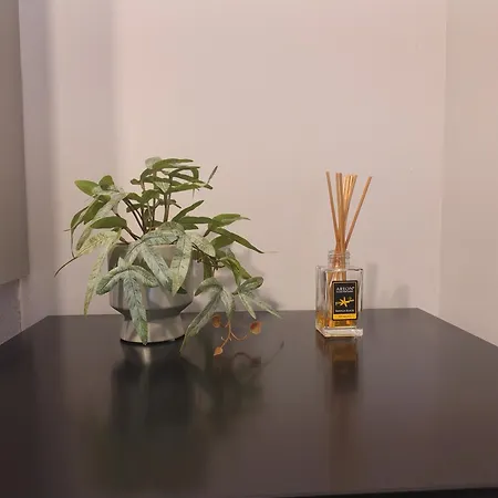 Vasiliki's Lägenhet